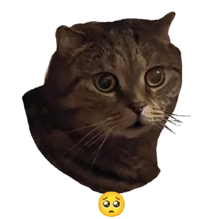 Стикер Лукес - 8