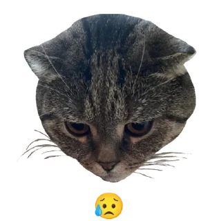 Стикер Лукес - 7