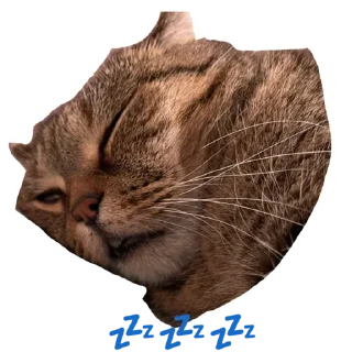 Стикер Лукес - 10