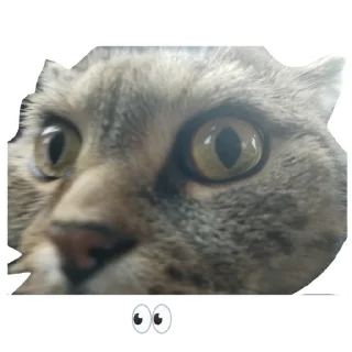 Стикер Лукес - 1