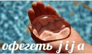 Sticker Шлюпки дырявые весла гнутые а нам похуй мы ебанутые - 7