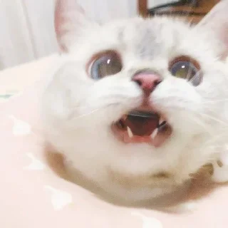 Sticker Стииииив - 3