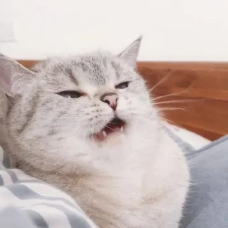 Sticker Стииииив - 9