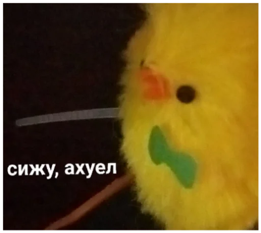 птица животное мультфильм