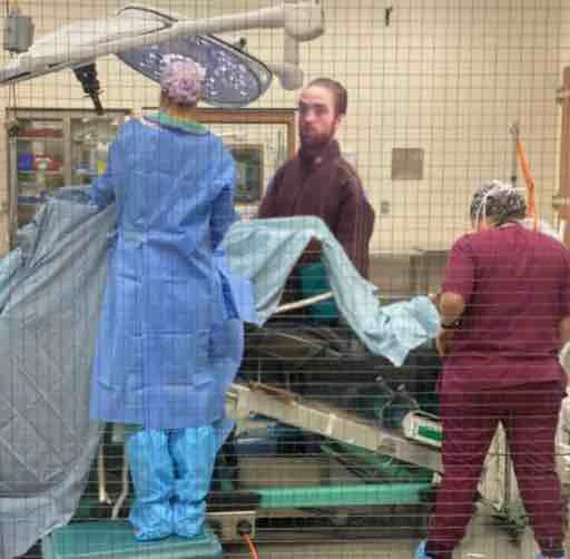 одежда Человек мужчина