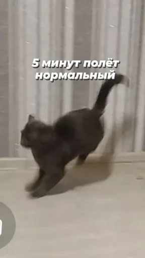 Стикер LutesOuphGlads :: @fStikBot - 11