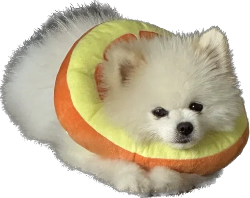 Стикер LutikPom - 1