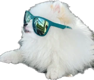 Стикер Lutik the Pomeranian - 1