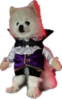 Стикер Lutik the Pomeranian - 6