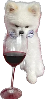 Стикер Lutik the Pomeranian - 8