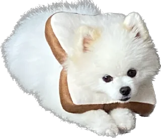 Стикер Lutik the Pomeranian - 3