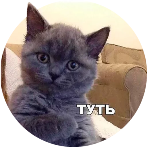 Sticker Лув by @fStikBot - 7