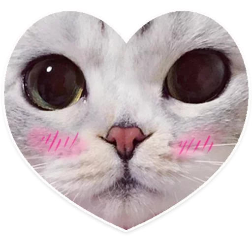 Sticker Лув by @fStikBot - 6