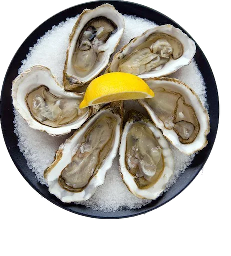 животное беспозвоночный морепродукты