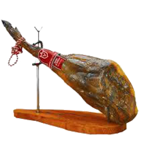 искусство насекомое