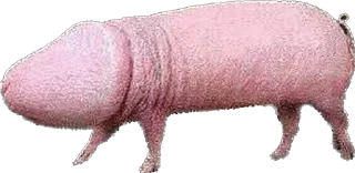 Sticker Lviv City - 11