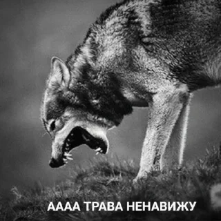 Sticker Больше стиков тут: @stikery4 - 4