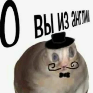 Sticker Больше стиков тут: @stikery4 - 3