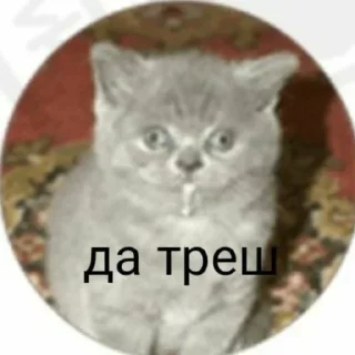 Sticker Больше стиков тут: @stikery4 - 0