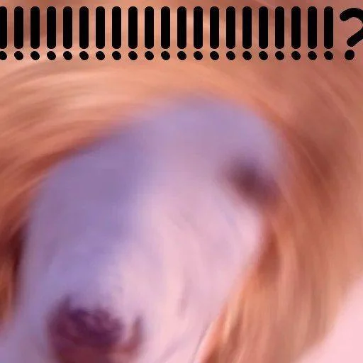 Стикер LwrFuchs - 1