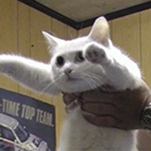 Стикер LyVwlxs_by_achestickbot - 1