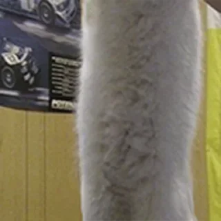 Стикер Больше стиков тут: @stikery4 - 3