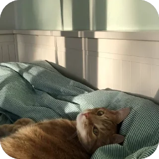 Стикер Ляляля - 4