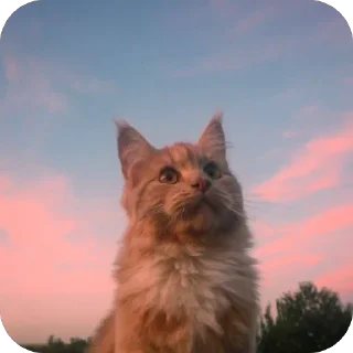 Стикер Ляляля - 6