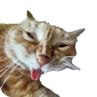 Sticker Ляпка - 11