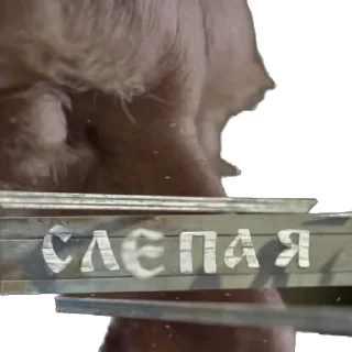 Стикер Лярвины заметки - 9