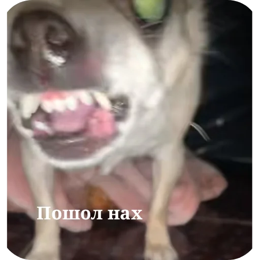 Sticker Lyolya812 - 1