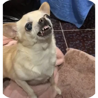 Стикер Лёля💋 - 6