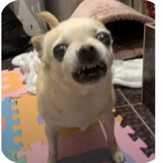 Стикер Лёля💋 - 8