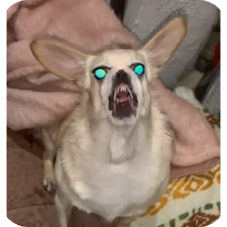 Стикер Лёля💋 - 2