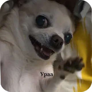 Стикер Лёля💋 - 3