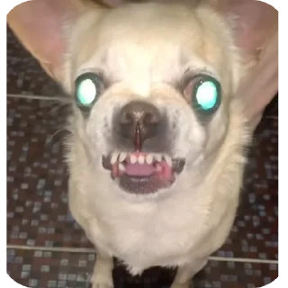 Стикер Лёля💋 - 0