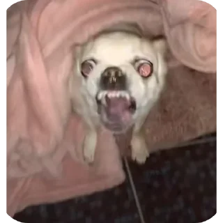 Стикер Лёля💋 - 5