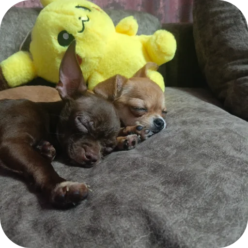 Стикер LyovaIMilkaTop - 1