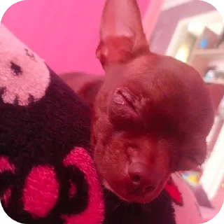 Sticker левушка и милка - 7