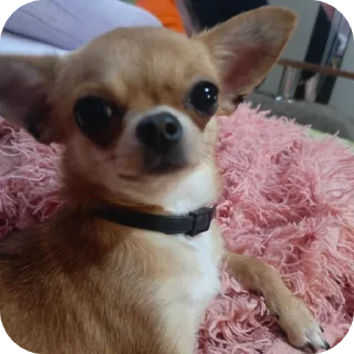 Sticker левушка и милка - 5