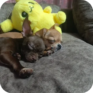 Sticker левушка и милка - 2