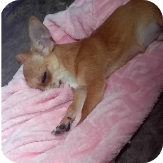 Sticker левушка и милка - 4