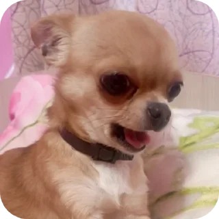 Sticker левушка и милка - 1