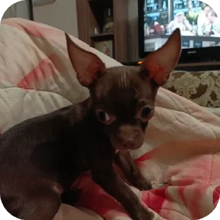 Sticker левушка и милка - 8