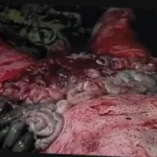 Стикер Lytyivin - 1