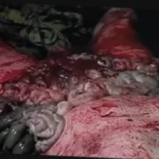 Sticker Лютый вин - 8