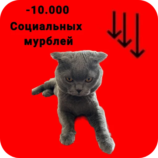 Стикер LyubimyjKotMurik - 1