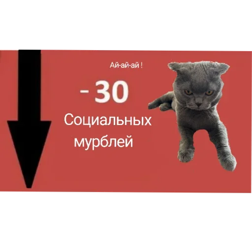 Любимый Кот Мурик - 