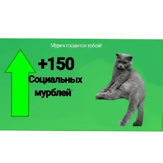 Sticker Любимый Кот Мурик - 0
