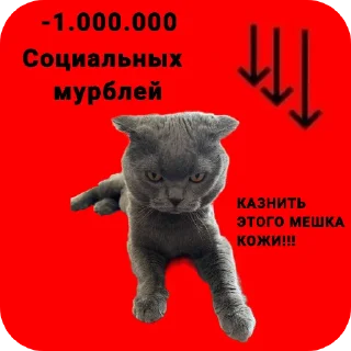 Sticker Любимый Кот Мурик - 2